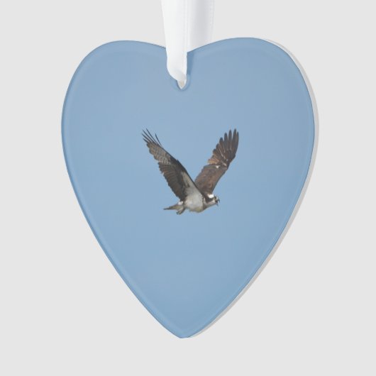 Gliding Osprey Ornament (voorkant)
