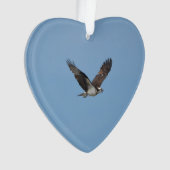 Gliding Osprey Ornament (voorkant)