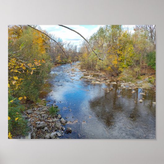 Gliding Reflections Poster (Voorkant)