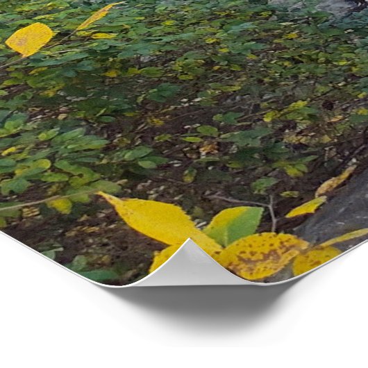 Glijdende reflecties poster (Hoek)