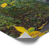 Glijdende reflecties poster (Hoek)