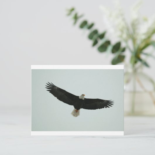 Glijpslang Briefkaart (Staand voorkant)