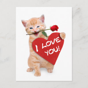 Glimende kat uit liefde briefkaart