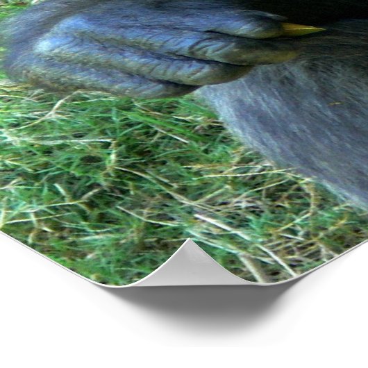 glimlach Ape Poster (Hoek)