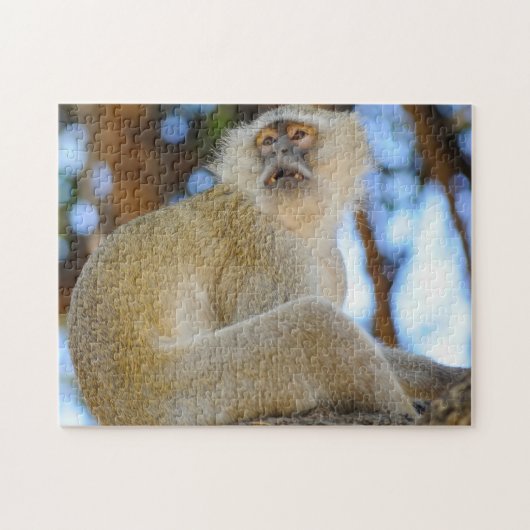 Glimlach. Botswana Velvet Monkey. Legpuzzel (Horizontaal)