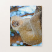 Glimlach. Botswana Velvet Monkey. Legpuzzel (Verticaal)