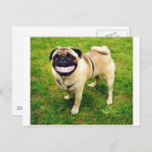 glimlach briefkaart (Voorkant / Achterkant)