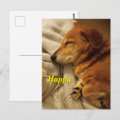 glimlach Dog Briefkaart (Voorkant / Achterkant)