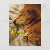 glimlach Dog Briefkaart (Voorkant)