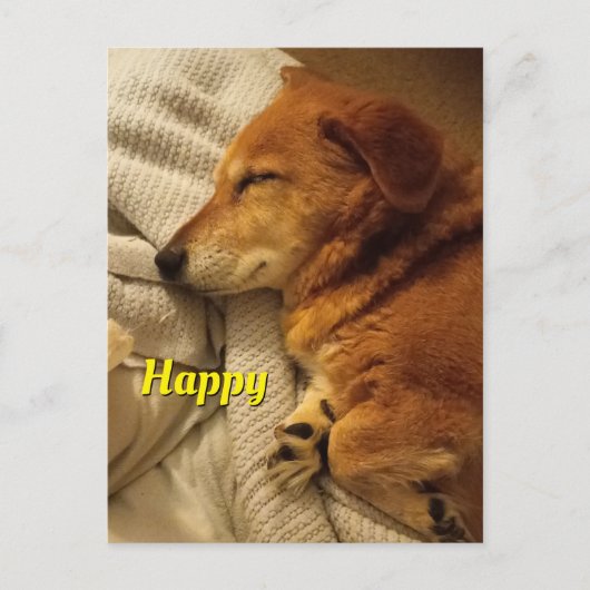 glimlach Dog Briefkaart (Voorkant)