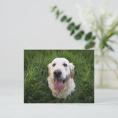 Glimlach Golden Retriever Briefkaart (Staand voorkant)