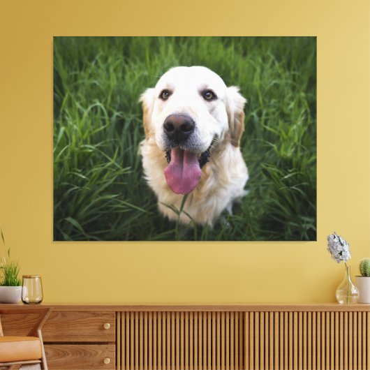 Glimlach Golden Retriever Canvas Afdruk (Insitu (Woonkamer))