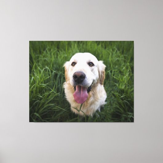 Glimlach Golden Retriever Canvas Afdruk (Voorkant)
