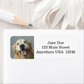 Glimlach Golden Retriever Etiket (Insitu)