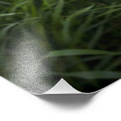 Glimlach Golden Retriever Foto Afdruk (Hoek)