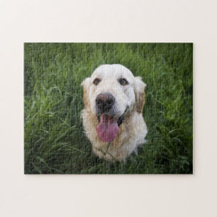 Glimlach Golden Retriever Legpuzzel
