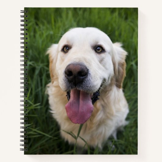 Glimlach Golden Retriever Notitieboek (Voorkant)