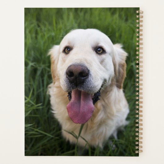 Glimlach Golden Retriever Planner (Achterkant)