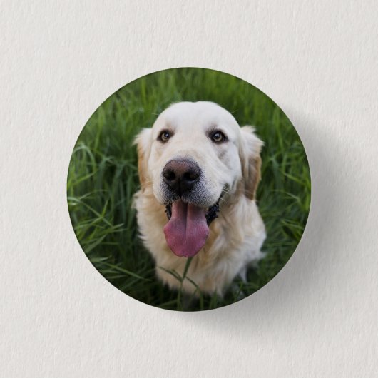 Glimlach Golden Retriever Ronde Button 3,2 Cm (Voorkant)