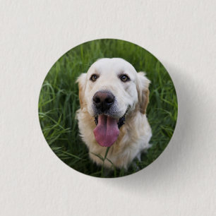 Glimlach Golden Retriever Ronde Button 3,2 Cm