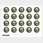 Glimlach Golden Retriever Ronde Sticker (Vel)