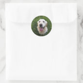 Glimlach Golden Retriever Ronde Sticker (Tas)
