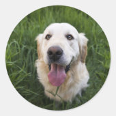 Glimlach Golden Retriever Ronde Sticker (Voorkant)