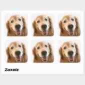 Glimlach Golden Retriever Vierkante Sticker (Vel)