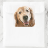 Glimlach Golden Retriever Vierkante Sticker (Tas)