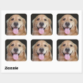 Glimlach Golden Retriever Vierkante Sticker (Vel)