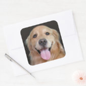 Glimlach Golden Retriever Vierkante Sticker (Envelop)