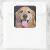 Glimlach Golden Retriever Vierkante Sticker (Tas)