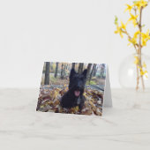 Glimlach, het is Herfst Kaart (Gele Bloem)