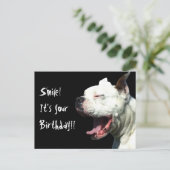 Glimlach, het is je verjaardagshond White Boxer br Briefkaart (Staand voorkant)