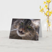 Glimlach, het Wenskaart van de Wasbeer van Maine Kaart (Gele Bloem)