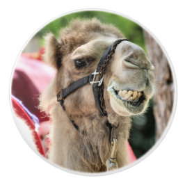 Glimlach Keramische Knop