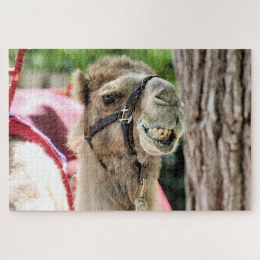 Glimlach Legpuzzel (Horizontaal)