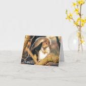 Glimlach M. Squirrel Note Card Kaart (Gele Bloem)