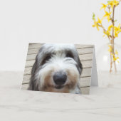 Glimlach Old English Sheepdog Kaart (Gele Bloem)