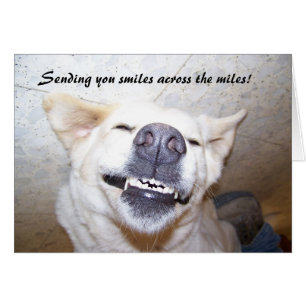 glimlach op de kaart van Miles