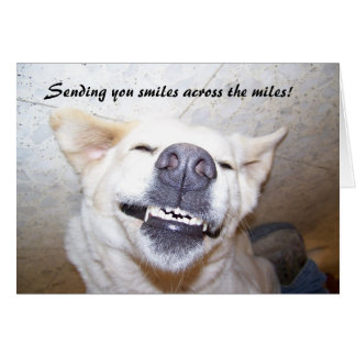 glimlach op de kaart van Miles