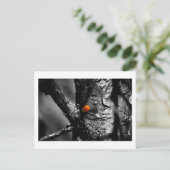 glimlach op een ladybug briefkaart (Staand voorkant)