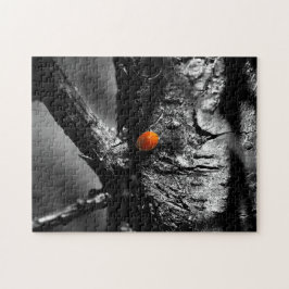 glimlach op een ladybug legpuzzel