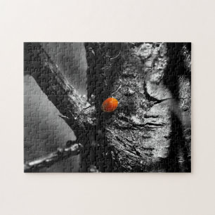 glimlach op een ladybug legpuzzel