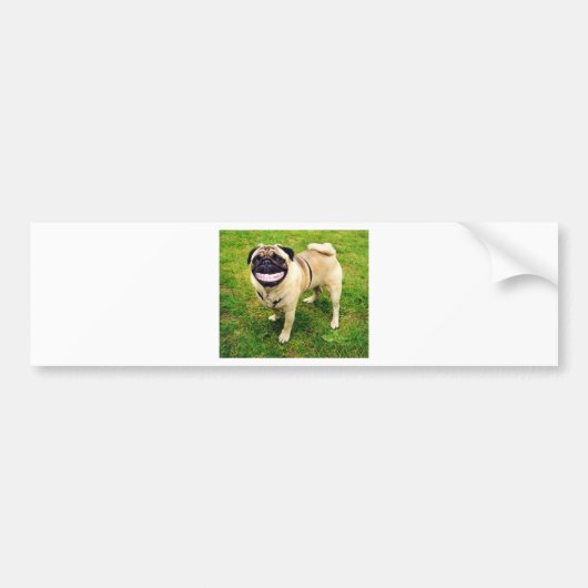 glimlach op je gezicht bumpersticker (Voorkant)