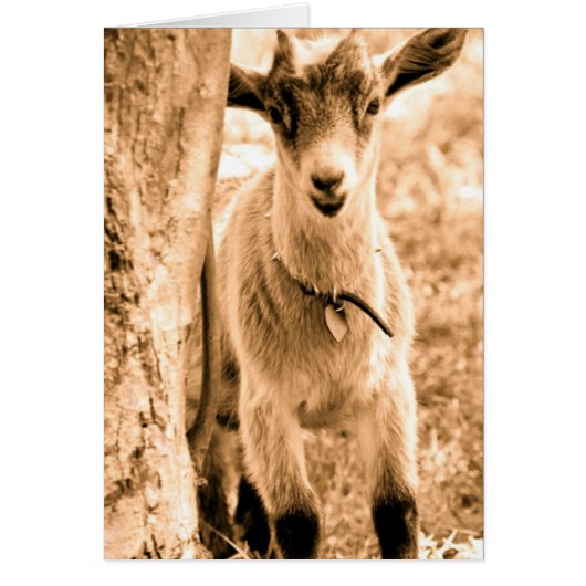 glimlachen (Voorkant)