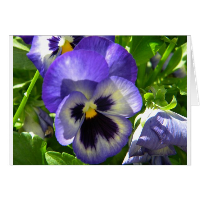 glimlachen (Voorkant Horizontaal)