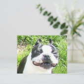 glimlachen briefkaart (Staand voorkant)