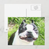 glimlachen briefkaart (Voorkant / Achterkant)