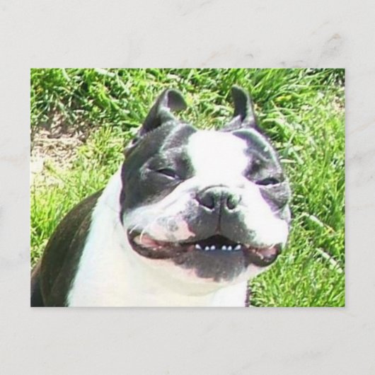 glimlachen briefkaart (Voorkant)